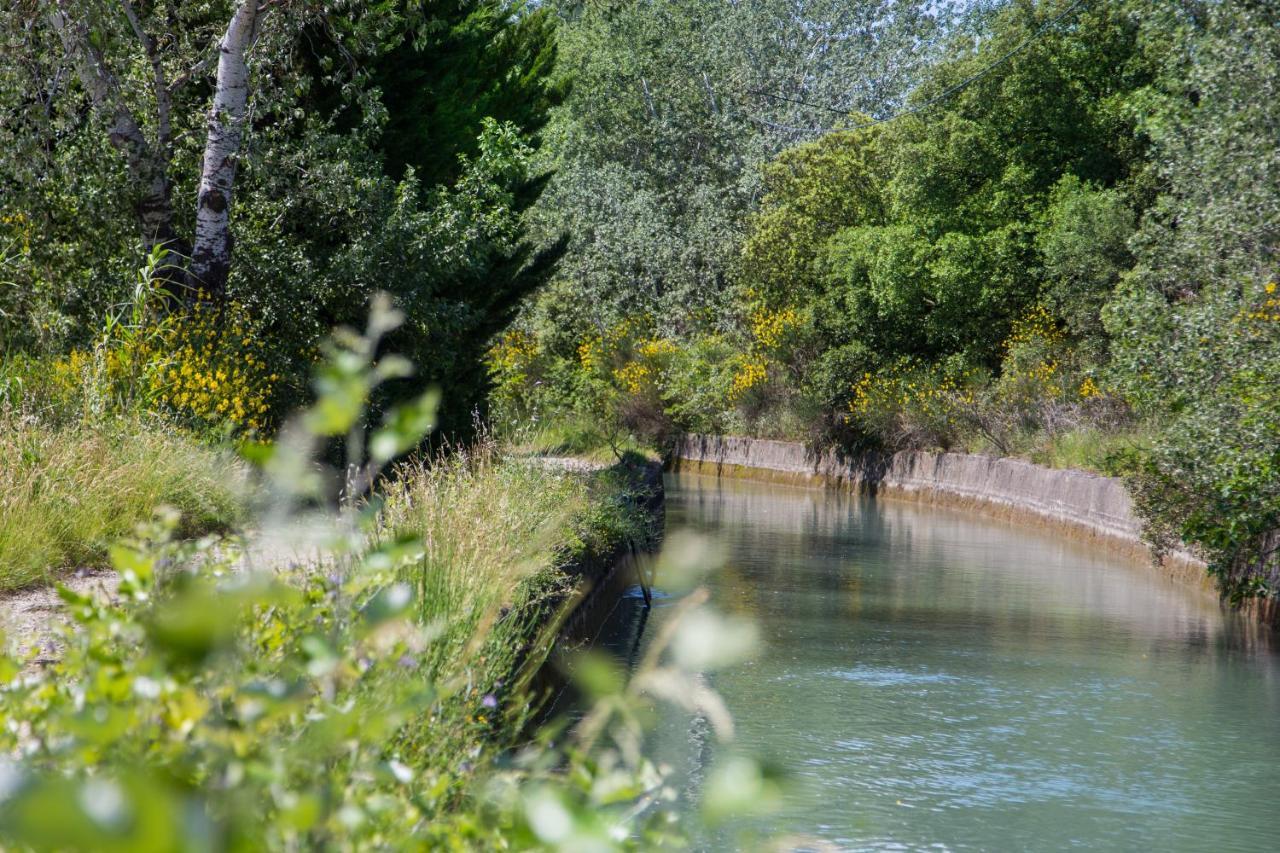 El Sama-In , Piscine Chauffee Villa LʼIsle-sur-la-Sorgue Dış mekan fotoğraf